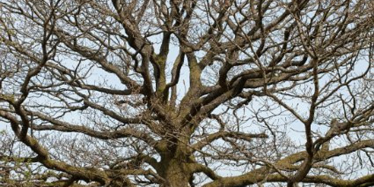 1968 Tasmanian casino referendum Wikipedia